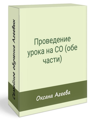 [Семейное обучение Агеевых] Проведение урока на СО_0.png